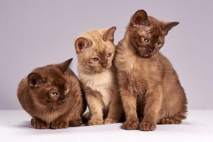 Die Unterkunft Steht Ab Sofort Nicht Mehr Zur Verfugung Appartment Is Finis 1 June - Thanks For All Your Andreas & 3 Cats Lubeka Zewnętrze zdjęcie